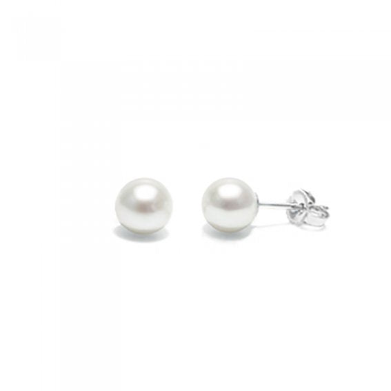 10ct Yellow Gold Freshwater 5mm White Pearl Studs #24601