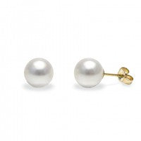 9ct Yellow Gold Fresh Water White Pearl 8-8.5mm Studs #23455