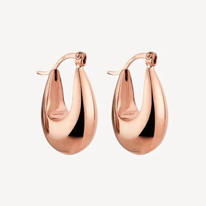 Najo Cloudland Rose Gold Plated Earrings #25117