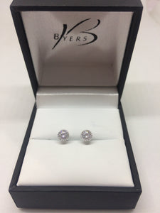 Sterling Silver Earrings #21995
