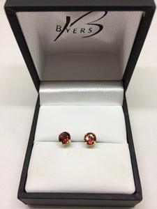 9ct Yellow Gold Garnet Claw Stud Earrings #22345
